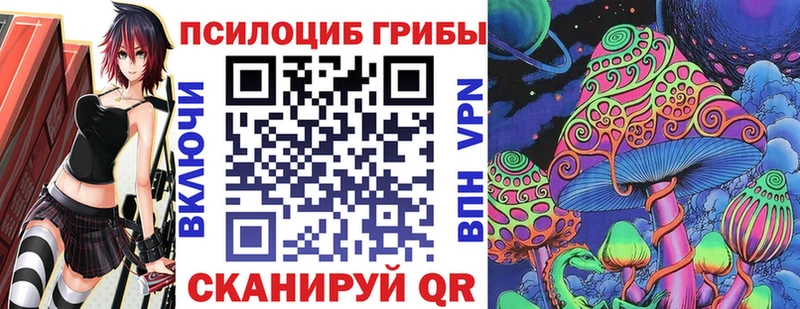 наркотики  Карабулак  маркетплейс клад  Псилоцибиновые грибы Cubensis 